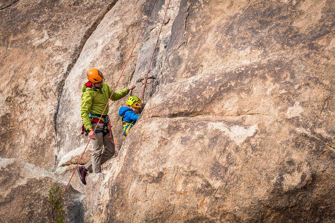 Family Rock Climbing Trips in Joshua Tree National Park (8 Hours) - About the Tour Operator