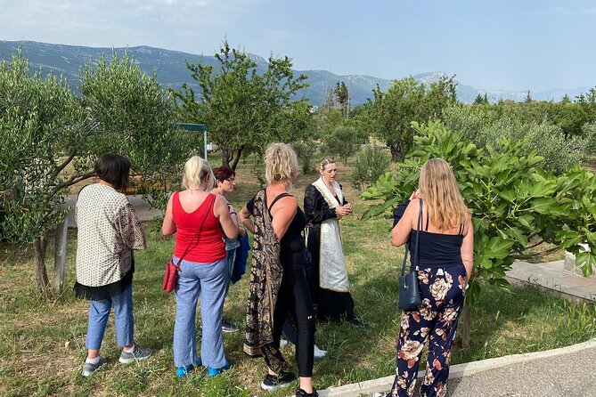 Family-run Vineyard Tour & Award Winning Wine Tasting/Delicacies - Accessibility and Restrictions