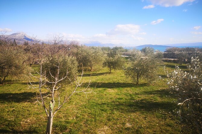 Family-run Vineyard Tour & Award Winning Wine Tasting/Delicacies - Reviews and Ratings