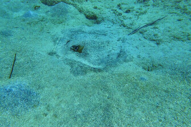Family Snorkeling Tour - An Introduction to the Experience