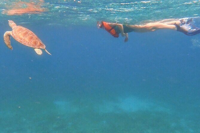 Family Snorkeling Tour - Detailed Breakdown of the Itinerary