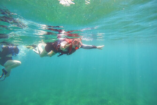 Family Snorkeling Tour - Final Thoughts