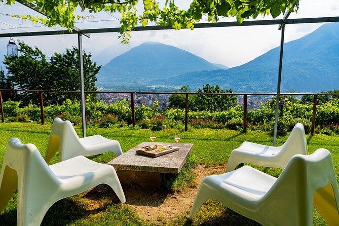 Family Tasting - a Little Tasting - Cancellation and Pricing Policy