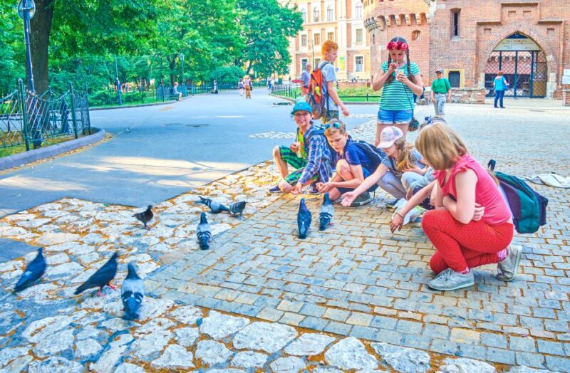 Family Tour of Krakow Old Town With Sweets Factory & Cruise - Attractions and Activities