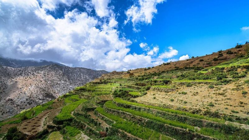 Family Trek in Morocco 4 Days - Atlas Mountains Trekking - Inclusions