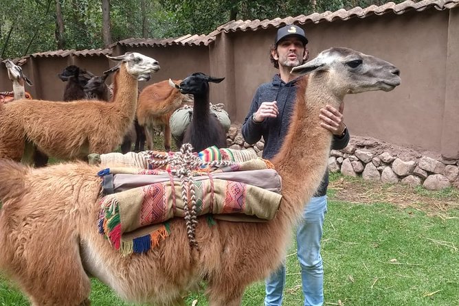 Family Trek With Llamas (Full Day) - Whats Included