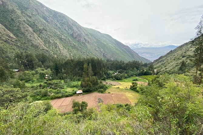 Family Trek With Llamas (Full Day) - Health and Accessibility Concerns