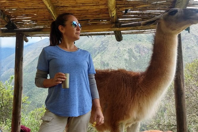 Family Trek With Llamas (Full Day) - Frequently Asked Questions