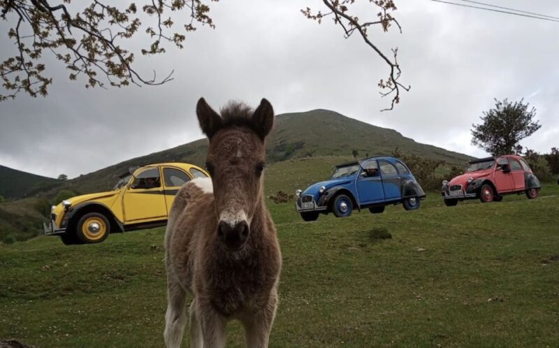 Family Trip to Biarritz in a Citroen 2CV - Sights and Stops