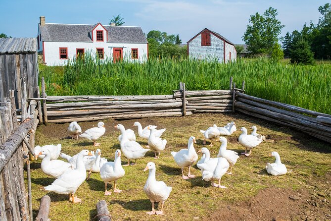 Family Visit to the Acadian Historic Village - Parking and Shuttle Service