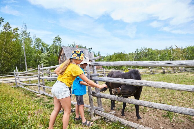 Family Visit to the Acadian Historic Village - Visitor Accessibility and Requirements