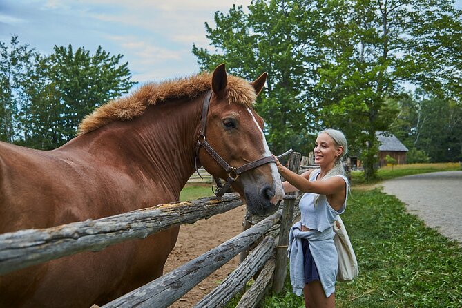 Family Visit to the Acadian Historic Village - Highlights of the Visit