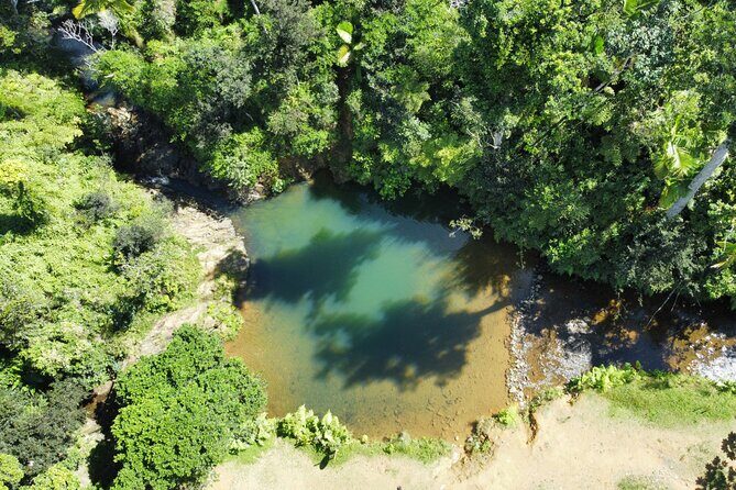 Famous Guavate Pork Road & Charco Azul Food & River Tour - Practical Tips for Your Day Out