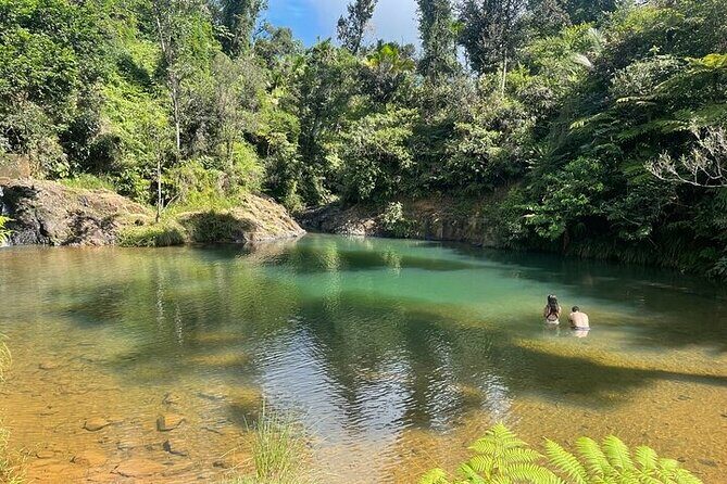 Famous Guavate Pork Road & Charco Azul Food & River Tour - Who Should Consider This Tour?