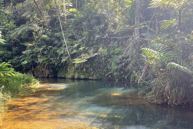 Famous Guavate Pork Road & Charco Azul Food & River Tour - Final Thoughts