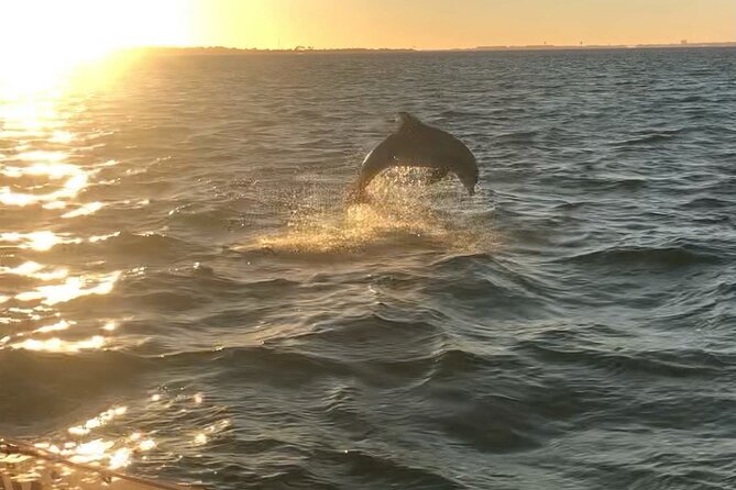 FAMOUS & ORIGINAL Destin Tikis Harbor Sightseeing Cruise - Small Group Guided Experience