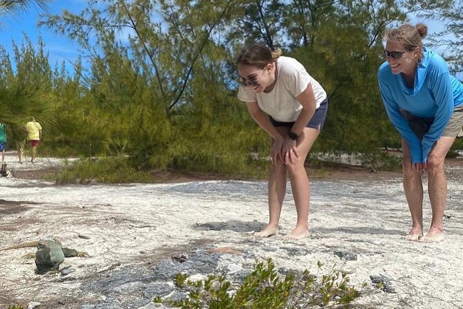FAMOUS SHIPWRECK, Tiki Bar & Iguana Island Private Jet Ski Tour - COVID-19 Safety Measures
