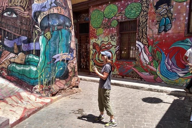 Famous Valparaíso! Premium Walking Tour With a Native Guide - Tour Overview
