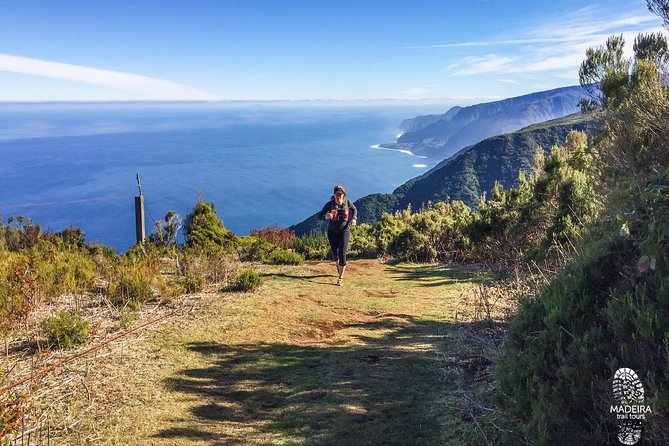 Fanal Ancient Forest Running Tour (Easy-Moderate) - Pricing and Cancellation