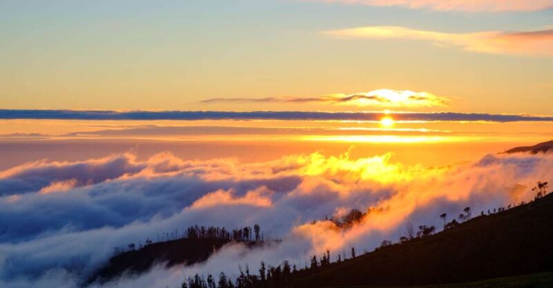 Fanal Forest Exploration Tour + Sunset With Food and Drinks - Key Points