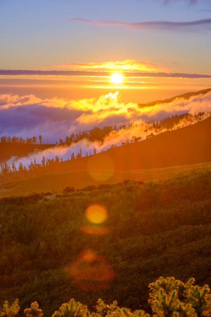 Fanal Forest Exploration Tour + Sunset With Food and Drinks - Included in the Tour