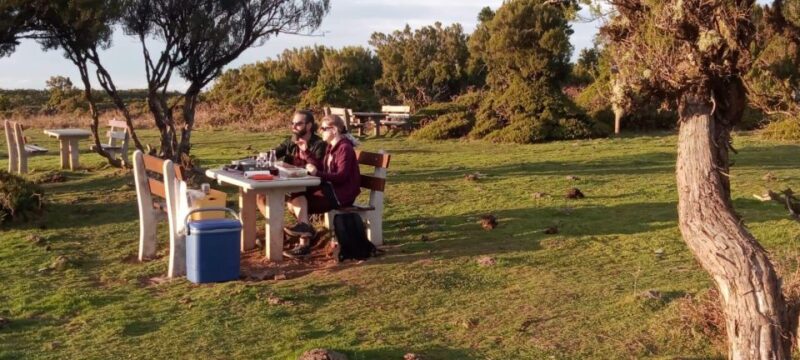 Fanal Forest Exploration Tour + Sunset With Food and Drinks - Customer Feedback