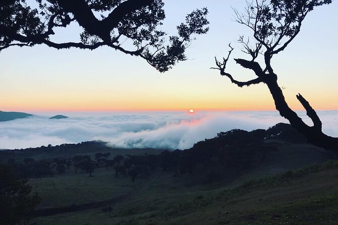 Fanal Forest Private Sunset Hike - Scenic Forest Hike