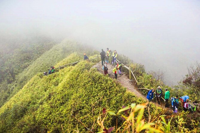 Fansipan Mount Trekking 1 Day - Trek Details and Itinerary