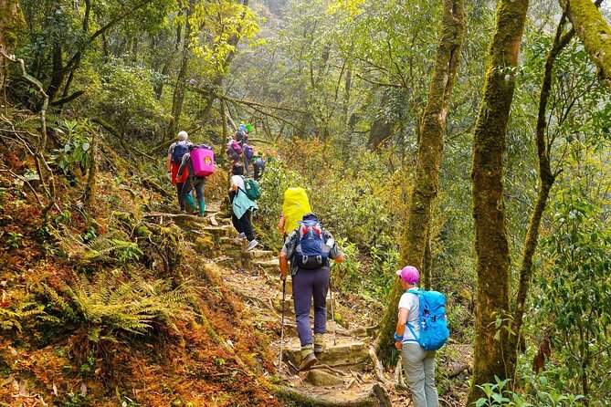 Fansipan Mountain Trekking 2 Days 1 Night - Trek Overview