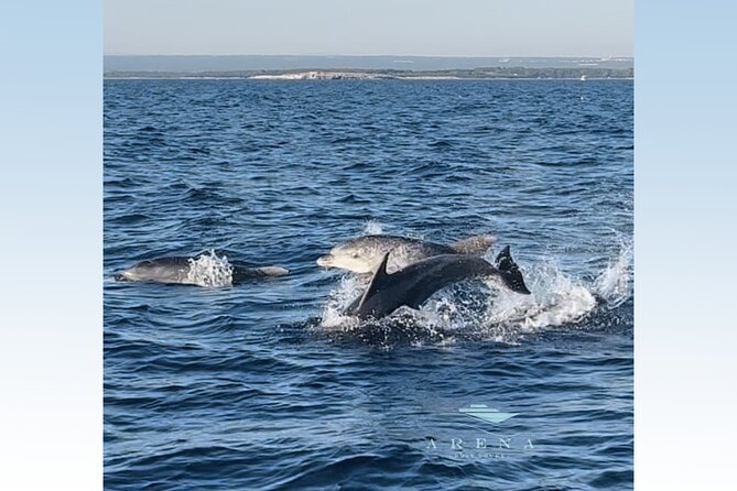 Fantastic DOLPHIN & SUNSET TOUR With Dinner (Pula - NP Brijuni) - Boat Ride Along Coast