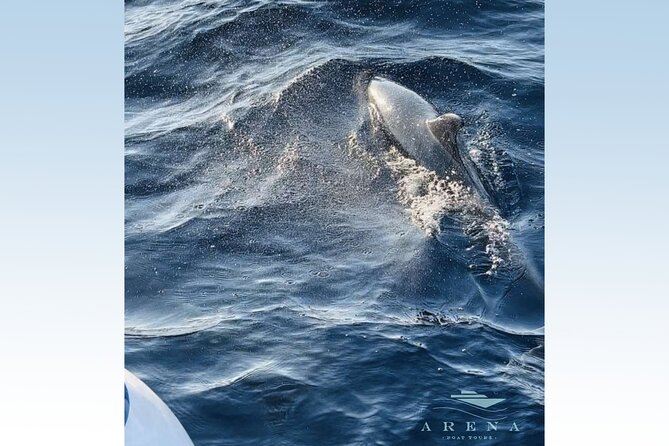Fantastic DOLPHIN & SUNSET TOUR With Dinner (Pula - NP Brijuni) - Traditional Dinner on Board