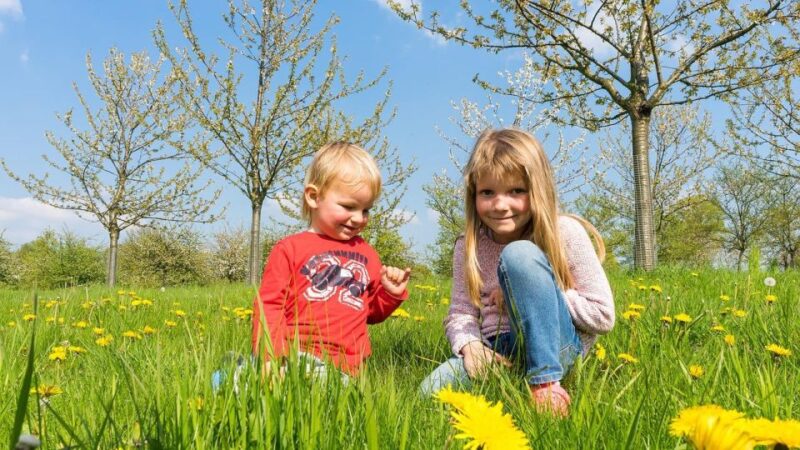Fantastic Family Walking Tour in Ravello - Starting Location