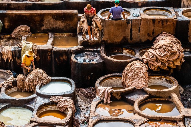 Fantastic Fes Medina Private Guided Walking Tour - What to Expect
