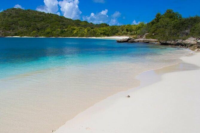 FANTASTIC Green Island and Sea Turtles - Half Day share boat trip - Key Points
