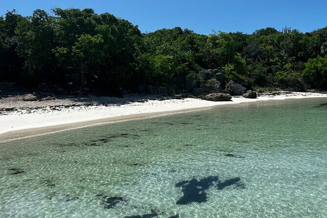 FANTASTIC Green Island and Sea Turtles - Half Day share boat trip - An In-Depth Look at the Tour Experience