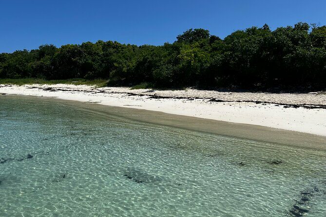 FANTASTIC Green Island and Sea Turtles - Half Day share boat trip - Who Is This Tour Best For?