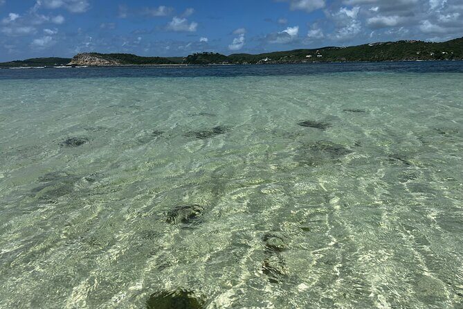 FANTASTIC Green Island and Sea Turtles - Half Day share boat trip - FAQ