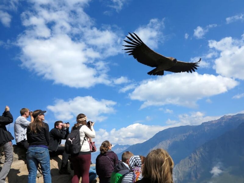 Fantastic Peru 15 Days Included 3-Star Hotel - Ica, Paracas, and Colca Canyon