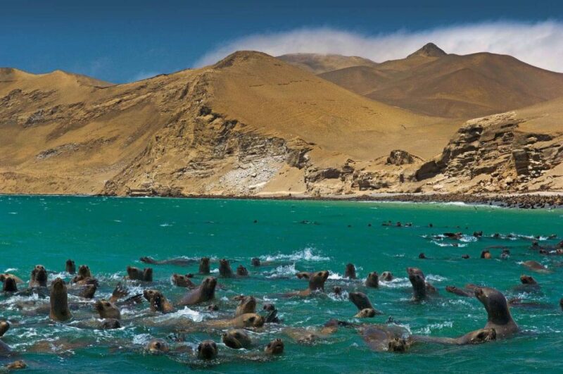 || Fantastic Peru Lima- Ica- Cusco, Sacred Valley, 7 Days || - Key Points