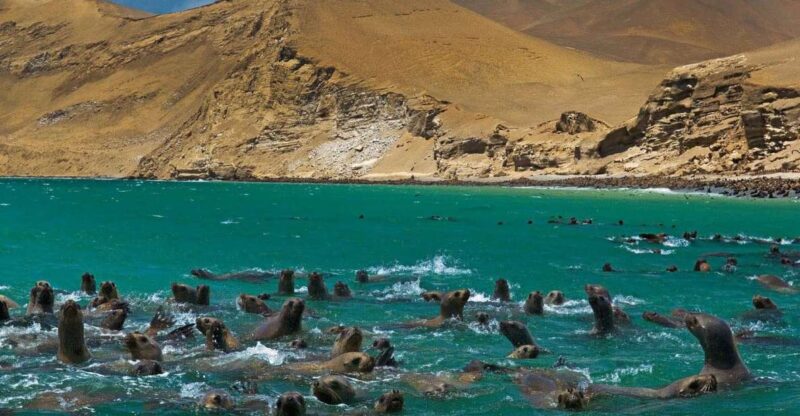 || Fantastic Peru Lima- Ica- Cusco, Sacred Valley, 7 Days || - Itinerary Highlights