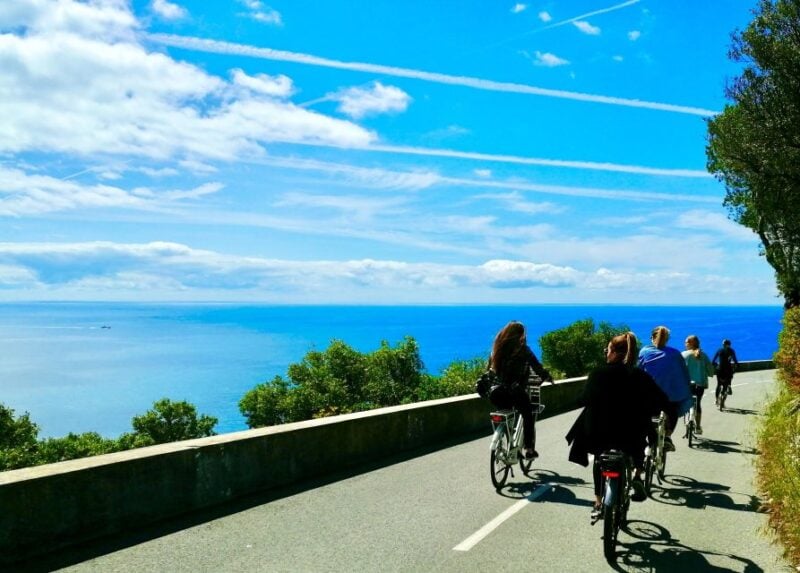 Fantastic Villefranches Bay & Billionaires 5H Electric Bike (Nice) - Optional Visits to Renowned Estates