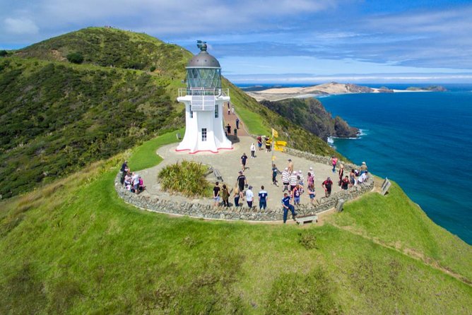Far North New Zealand Tour Including 90 Mile Beach and Cape Reinga From Paihia - Meeting and Pickup