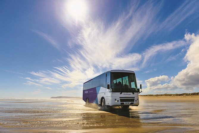 Far North New Zealand Tour Including 90 Mile Beach and Cape Reinga From Paihia - What to Expect