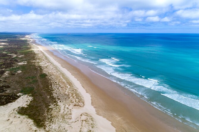 Far North New Zealand Tour Including 90 Mile Beach and Cape Reinga From Paihia - Positive Feedback