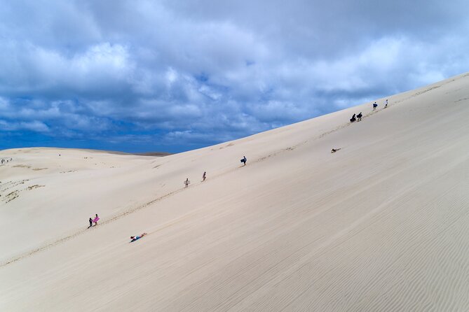 Far North New Zealand Tour Including 90 Mile Beach and Cape Reinga From Paihia - Common Complaints