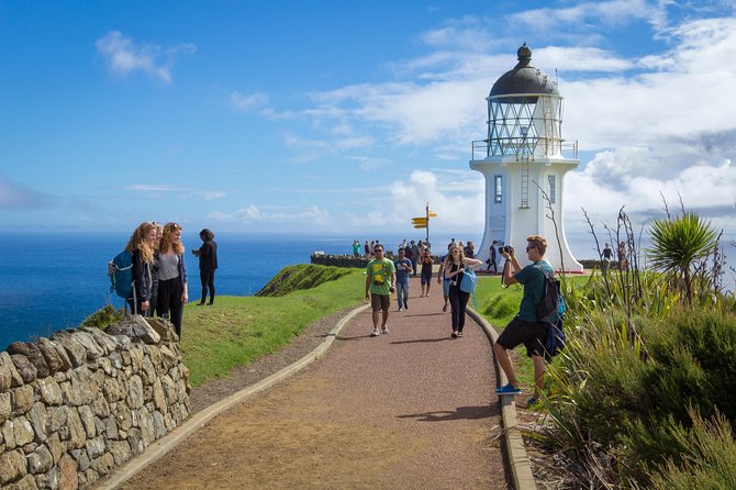 Far North New Zealand Tour Including 90 Mile Beach and Cape Reinga From Paihia - Tour Highlights