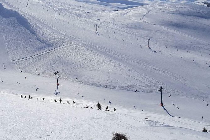 Faraya Ski Resort Lebanon - Activity Highlights