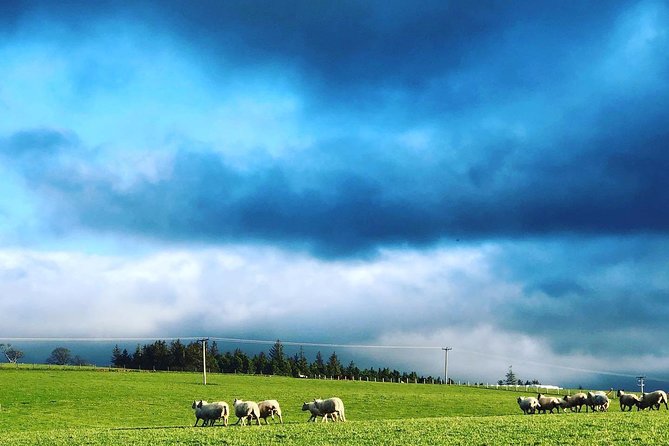 Farm Attraction - Picturesque Farm Landscape