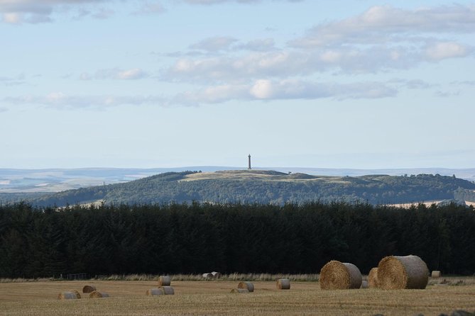 Farm Attraction - Seasonal Availability and Hours