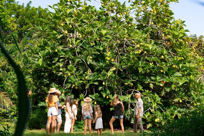 Farm & Food Experience - Guided Hiking and Exploration